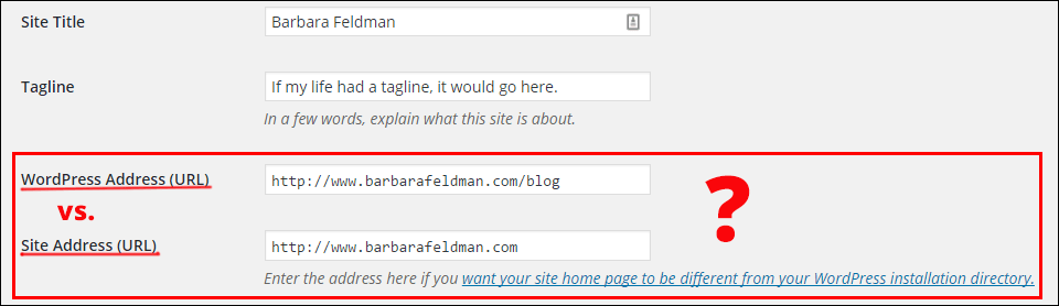 write 5 website address