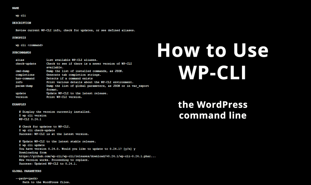 How to Use WP-CLI - WordHer