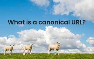 What Is Canonical Url